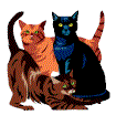 3 cats.gif (4195 bytes)