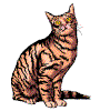 sittingtabby.gif (3458 bytes)